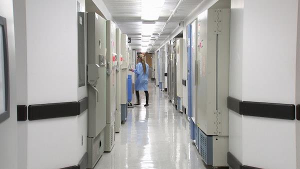 International Heart Surgery Center Greece